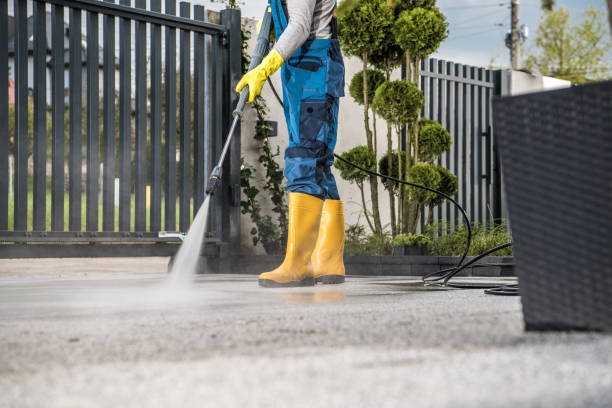 Best Animal Enclosure Cleaning  in Sheffield Lake, OH